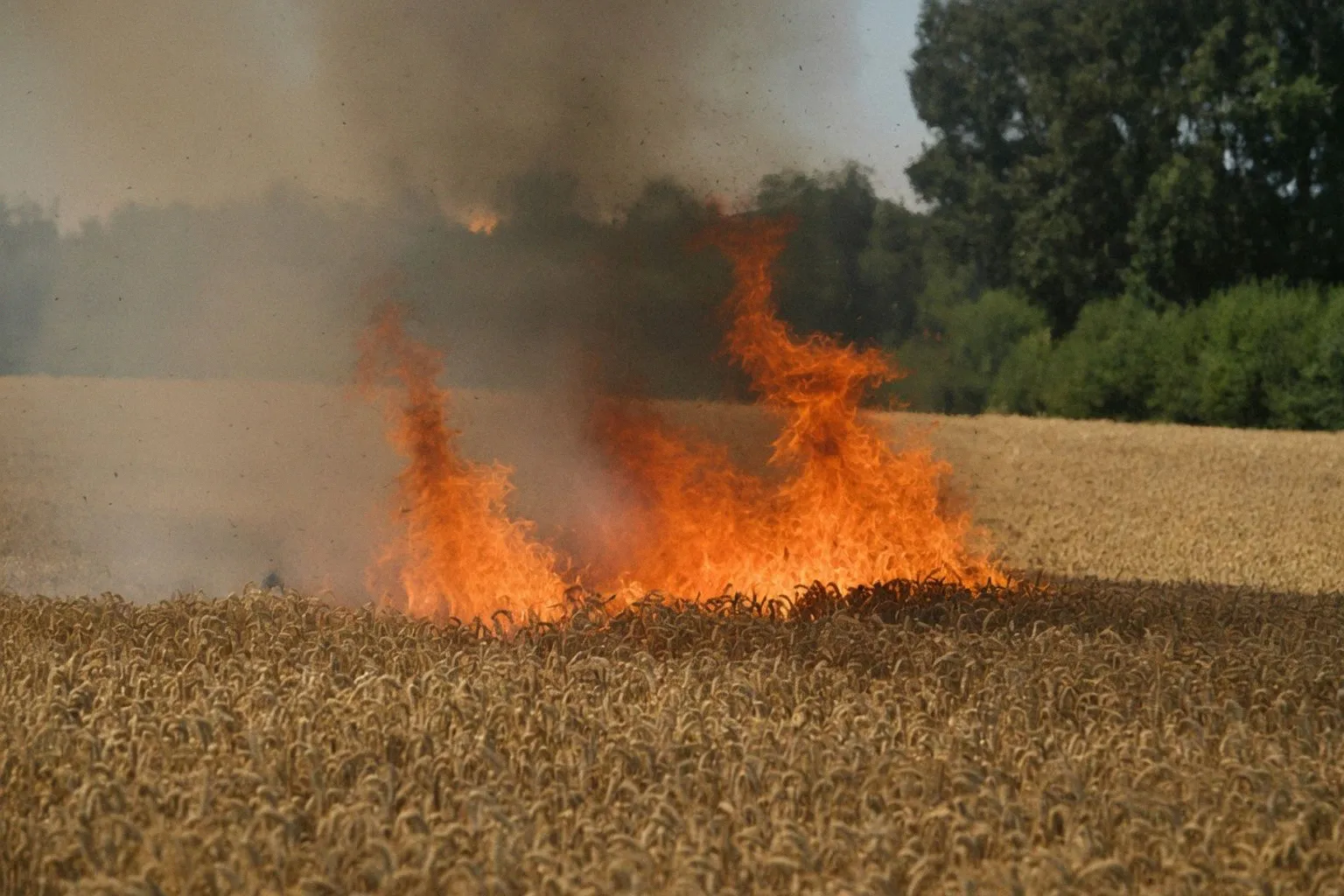 Incendie à Dracy-Saint-Loup : huit hectares de nature dévastés en Saône-et-Loire